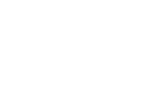 LEXON logo
